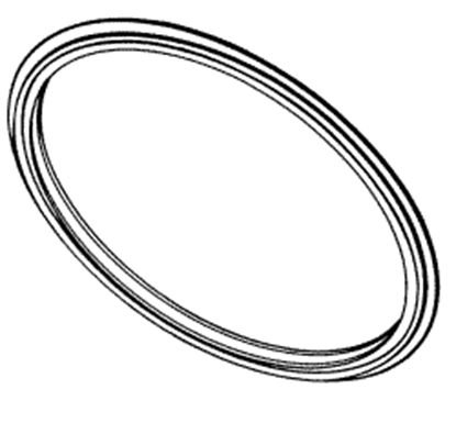 Picture of Eagle 10 Sterilizer - Door Gasket