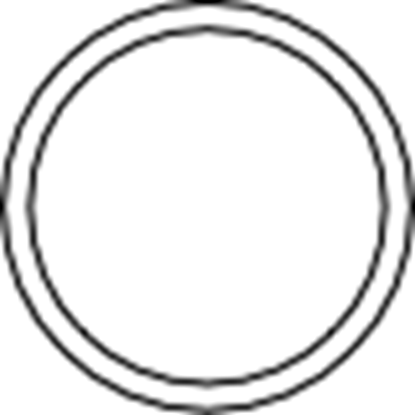 Picture of Pelton Crane Sterilizer Air Valve O Ring