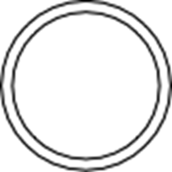 Picture of Pelton Crane Sterilizer Air Valve O Ring