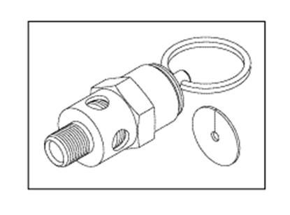 Picture of Safety Valve (40 psi) for  Midmark Ritter M9 and M11 sterilizers