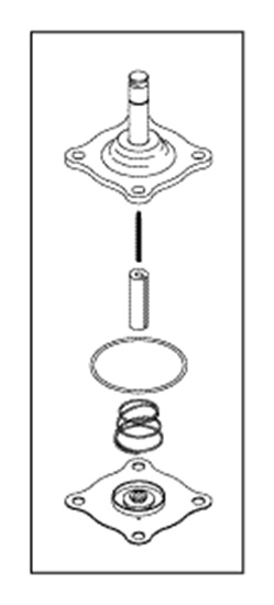 Picture of solenoid valve repair kit for  castle/getinge  3525 and AMSCO autoclave